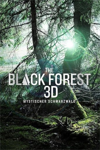 The Black Forest - Mystischer Schwarzwald Poster of The Black Forest - Mystischer Schwarzwald