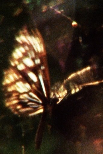 A Flea’s Skin Would Be Too Big For You Poster of A Flea’s Skin Would Be Too Big For You