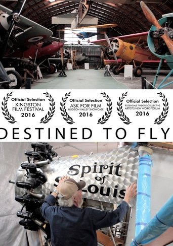Destined to Fly Poster of Destined to Fly