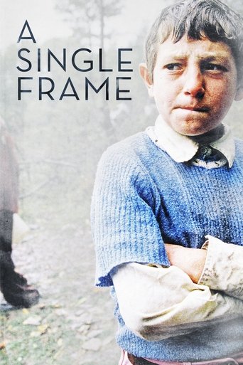 A Single Frame Poster of A Single Frame