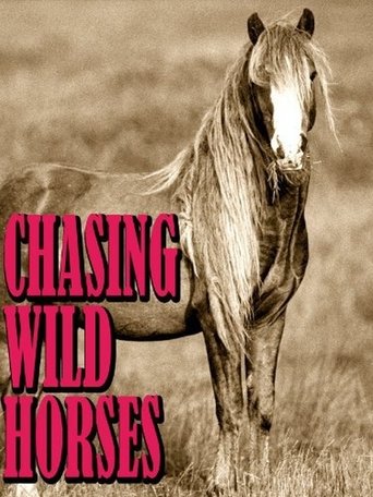 Chasing Wild Horses Poster of Chasing Wild Horses