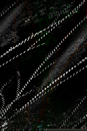 Cyclothymia of a Land Poster of Cyclothymia of a Land