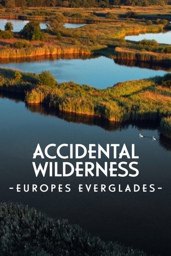 The Accidental Wilderness: Europe's Everglades Poster of The Accidental Wilderness: Europe's Everglades