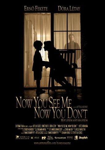 Now You See Me, Now You Don't Poster of Now You See Me, Now You Don't