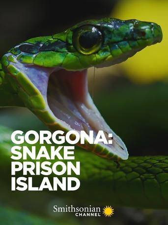 Gorgona: Snake Prison Island Poster of Gorgona: Snake Prison Island