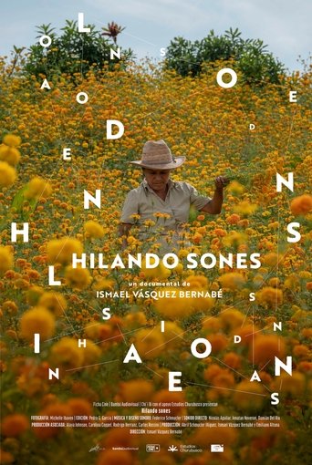Hilando sones Poster of Hilando sones