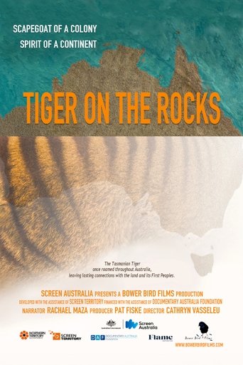 Tiger on the Rocks Poster of Tiger on the Rocks