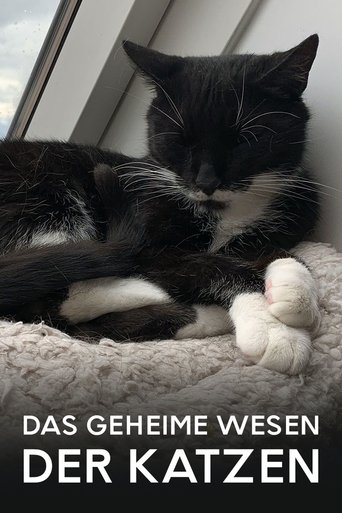 Das geheime Wesen der Katzen Poster of Das geheime Wesen der Katzen