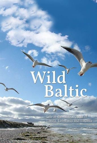Wild Baltic Poster of Wild Baltic