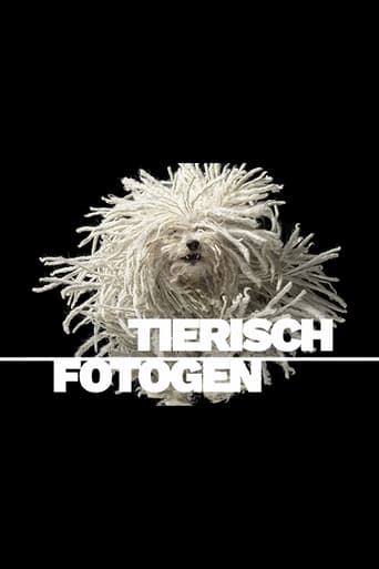Animal Art: Photogenic Creatures Poster of Animal Art: Photogenic Creatures