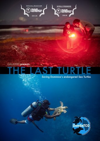 The Last Turtle Poster of The Last Turtle