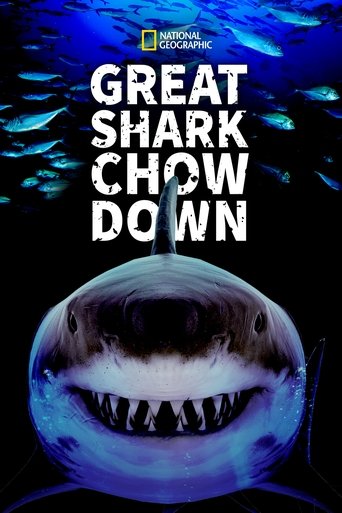 Great Shark Chow Down Poster of Great Shark Chow Down
