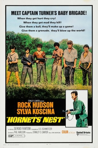 Hornets' Nest Poster of Hornets' Nest