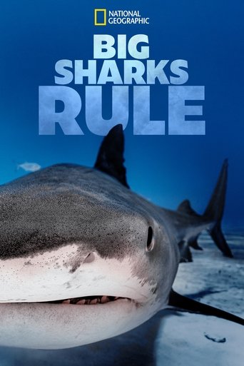 Big Sharks Rule Poster of Big Sharks Rule