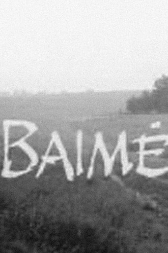 Baimė Poster of Baimė