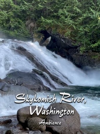 Skykomish River Ambience Poster of Skykomish River Ambience