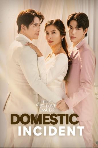 Domestic Incident Poster of Domestic Incident