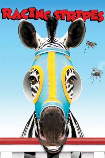 Poster of Racing Stripes