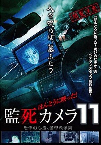 Paranormal Surveillance Camera 11 Poster of Paranormal Surveillance Camera 11