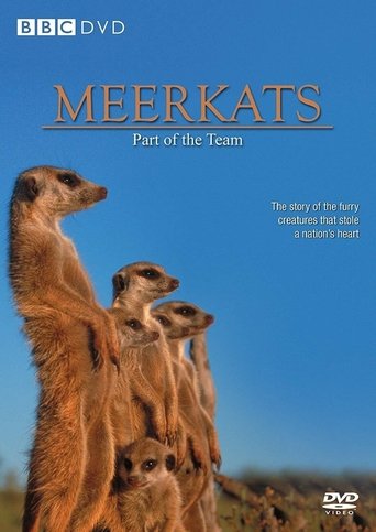 Meerkats: Part of the Team Poster of Meerkats: Part of the Team