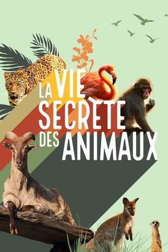 La vie secrète des animaux Poster of La vie secrète des animaux