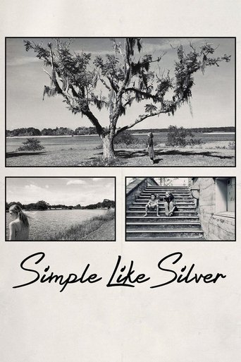 Simple Like Silver Poster of Simple Like Silver
