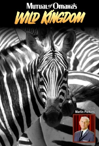 Mutual of Omaha's Wild Kingdom Poster of Mutual of Omaha's Wild Kingdom