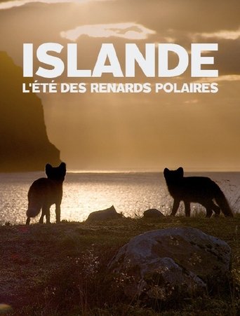 Islande, l’été Des Renards Polaires Poster of Islande, l’été Des Renards Polaires