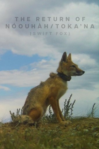 The Return of Nóouhàh-Toka’na Poster of The Return of Nóouhàh-Toka’na