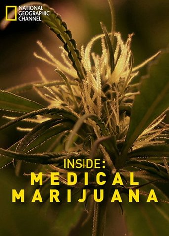 Inside: Medical Marijuana Poster of Inside: Medical Marijuana