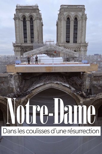 Notre-Dame of Paris, Rising from the Ashes Poster of Notre-Dame of Paris, Rising from the Ashes