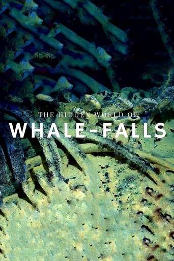 The Stages of Whale Decomposition Poster of The Stages of Whale Decomposition