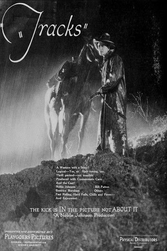 Tracks Poster of Tracks
