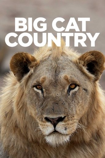 Big Cat Country Poster of Big Cat Country