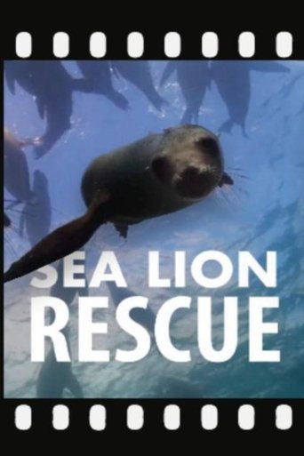 Sea Lion Rescue Poster of Sea Lion Rescue