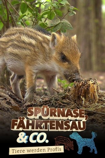 Spürnase, Fährtensau & Co. Poster of Spürnase, Fährtensau & Co.