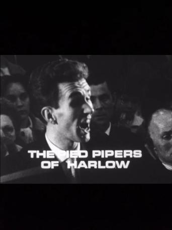 The Pied Pipers of Harlow Poster of The Pied Pipers of Harlow