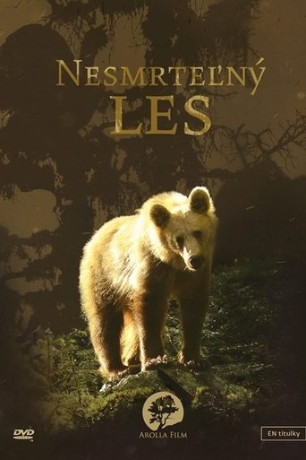 Secrets of the Carpathians: The Immortal Forest Poster of Secrets of the Carpathians: The Immortal Forest