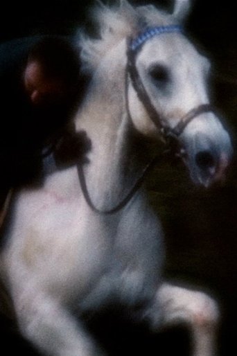 Horsey Poster of Horsey