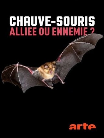 Chauve-souris: alliée ou ennemie? Poster of Chauve-souris: alliée ou ennemie?