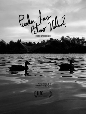 Can Ducks Fly? Poster of Can Ducks Fly?