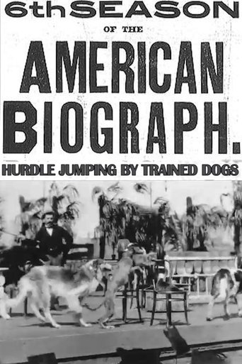 Hurdle Jumping; by Trained Dogs Poster of Hurdle Jumping; by Trained Dogs