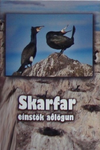 Skarfar Poster of Skarfar