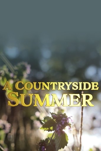 A Countryside Summer Poster of A Countryside Summer