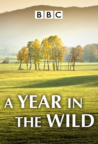 A Year in the Wild Poster of A Year in the Wild