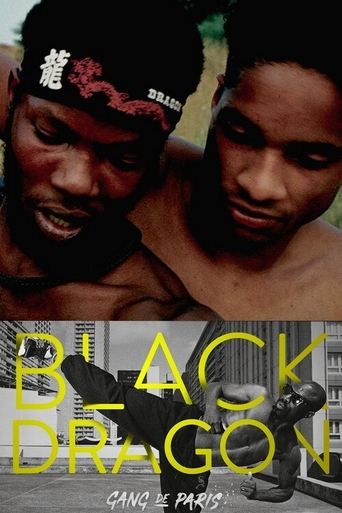 Gang de Paris : Black Dragon Poster of Gang de Paris : Black Dragon