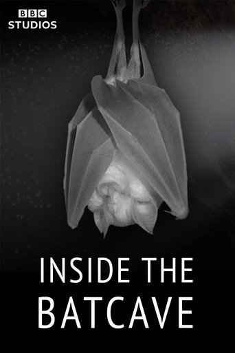 Inside the Bat Cave Poster of Inside the Bat Cave