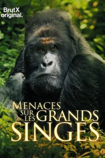 En danger : menaces sur les grands singes Poster of En danger : menaces sur les grands singes