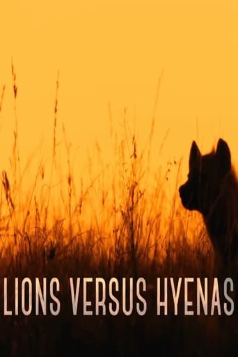 Lions versus Hyenas Poster of Lions versus Hyenas