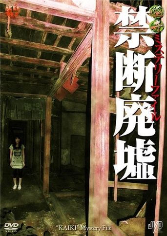 Bizarre Mystery File: Forbidden Ruins Poster of Bizarre Mystery File: Forbidden Ruins